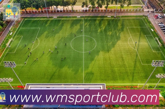 完美体育发展历程