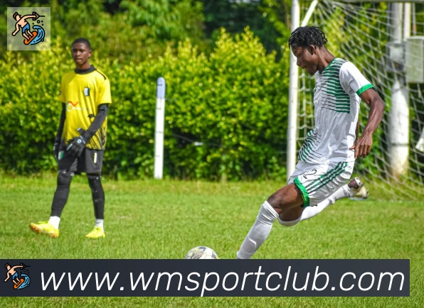 完美体育APP 体育赛事宣传图