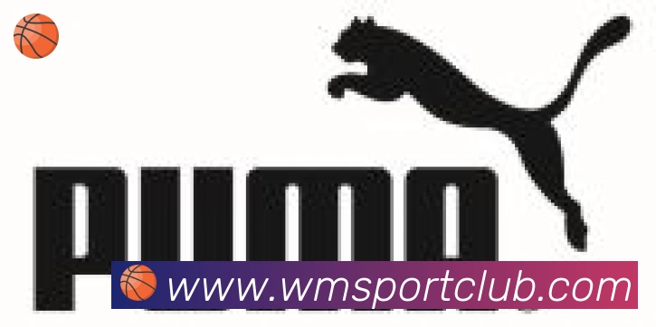 完美体育合作伙伴