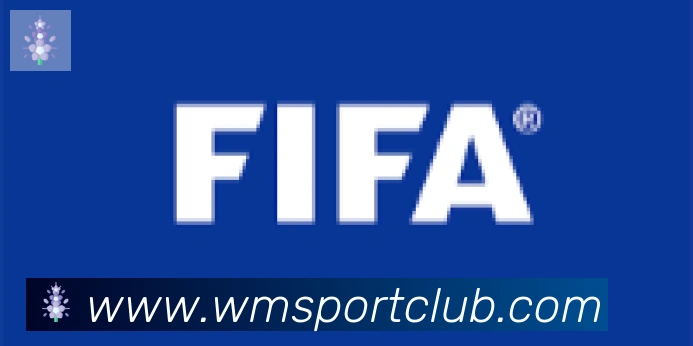 完美体育合作伙伴