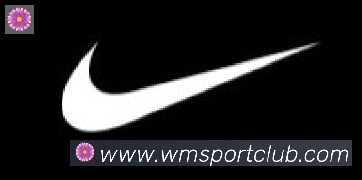 完美体育合作伙伴