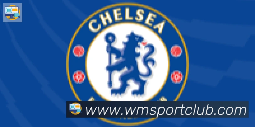 完美体育合作伙伴