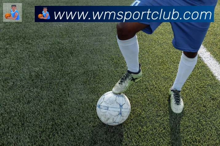 完美体育全站App